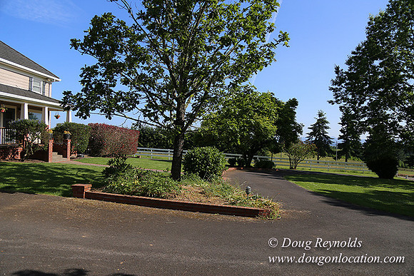 "2 Barns", "2 car garage", "40+ Acres", "PDX Zone", Pool, "White Fence", cows, "farm House", "rap around dive", "well maintained"