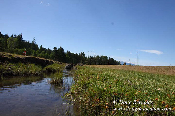 Ranch 18 South side of Hwy  has 2500 Acres of green fields Creeks water crossing Bridges on a Large Lake and miles of Dirt roads Oak trees  Forest land ATV Trails cows