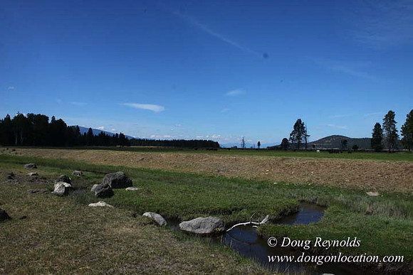 Ranch 18 South side of Hwy  has 2500 Acres of green fields Creeks water crossing Bridges on a Large Lake and miles of Dirt roads Oak trees  Forest land ATV Trails cows