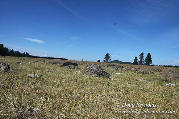Ranch 18 South side of Hwy  has 2500 Acres of green fields Creeks water crossing Bridges on a Large Lake and miles of Dirt roads Oak trees  Forest land ATV Trails cows