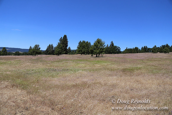 Brothers Ranch-8452