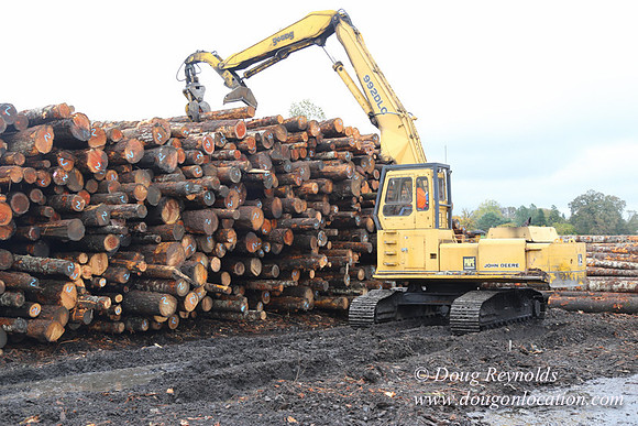 Saw Mill and Lumber Yard
