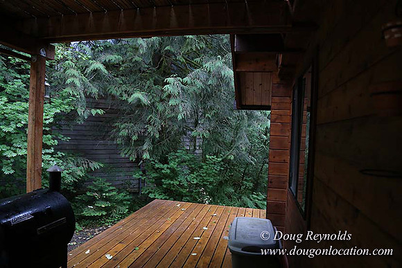 Gary's Cabin-7571