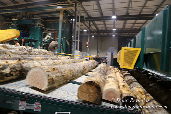 Saw Mill and Lumber Yard