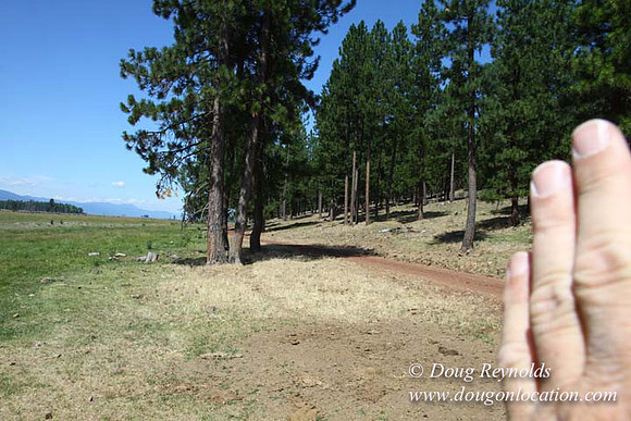 Ranch 18 South side of Hwy  has 2500 Acres of green fields Creeks water crossing Bridges on a Large Lake and miles of Dirt roads Oak trees  Forest land ATV Trails cows
