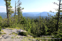 Timberline Rd View South-6990
