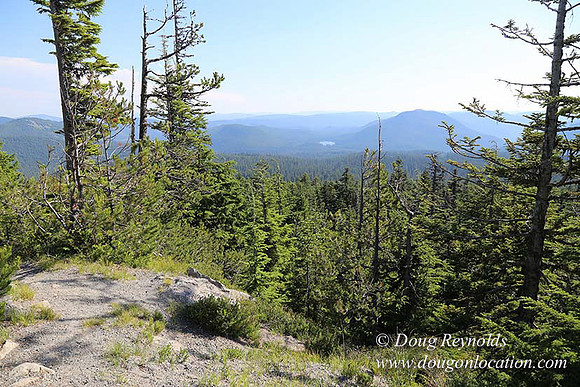Timberline Rd View South-6990