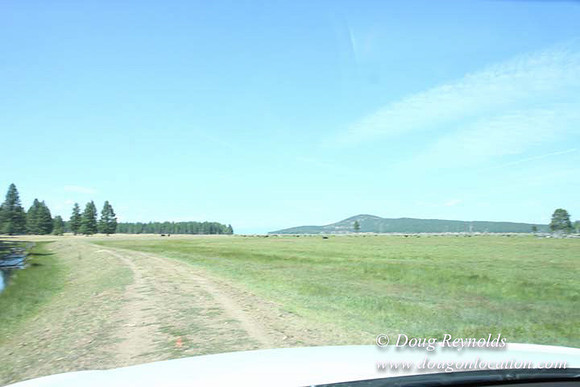 Ranch 18 South side of Hwy  has 2500 Acres of green fields Creeks water crossing Bridges on a Large Lake and miles of Dirt roads Oak trees  Forest land ATV Trails cows