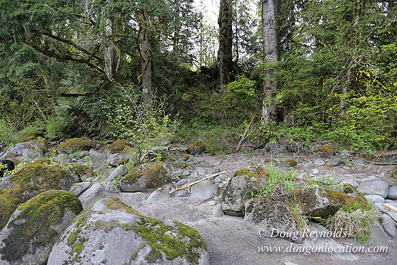 Brians River Side-0029