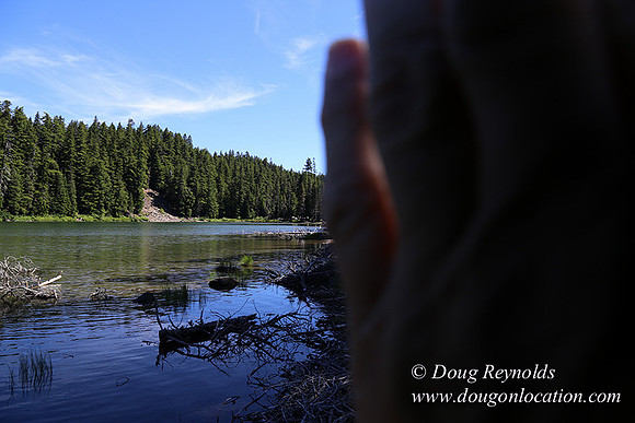 Frog Lake-3447