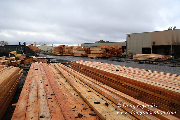 Saw Mill and Lumber Yard