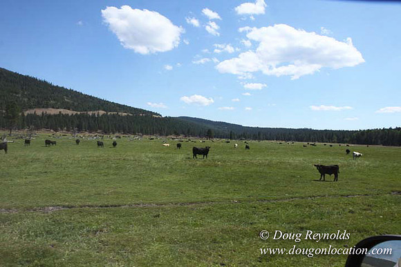 Ranch 18 South side of Hwy  has 2500 Acres of green fields Creeks water crossing Bridges on a Large Lake and miles of Dirt roads Oak trees  Forest land ATV Trails cows