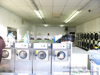 Alpine Laundry Hillsboro4334