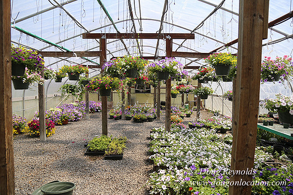 lee Farms-5294