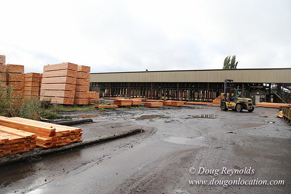 Saw Mill and Lumber Yard