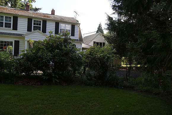 Dale's Penny Ln-4947