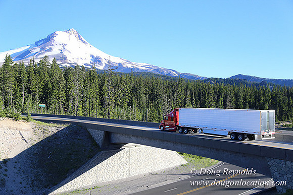 CMD Western Star Production Photo