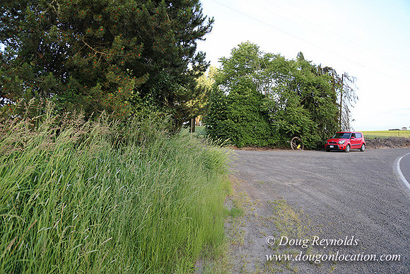 Mountaindale Rd-6426