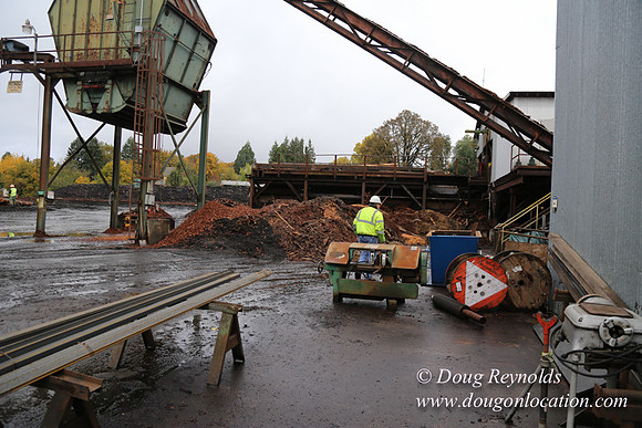 Saw Mill and Lumber Yard