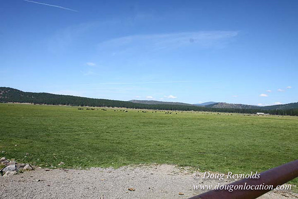Ranch 18 South side of Hwy  has 2500 Acres of green fields Creeks water crossing Bridges on a Large Lake and miles of Dirt roads Oak trees  Forest land ATV Trails cows