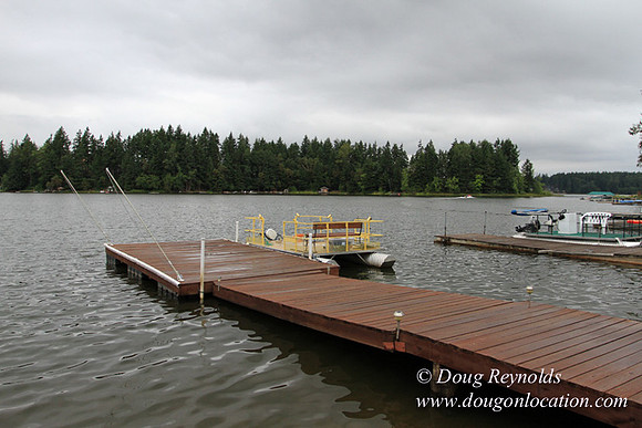 Boat, Cabin, Dock, "Greg's", Home, House, Lake, Small, WA, Washington, Yard, deck, green., vacation