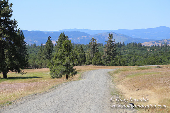 Brothers Ranch-8444