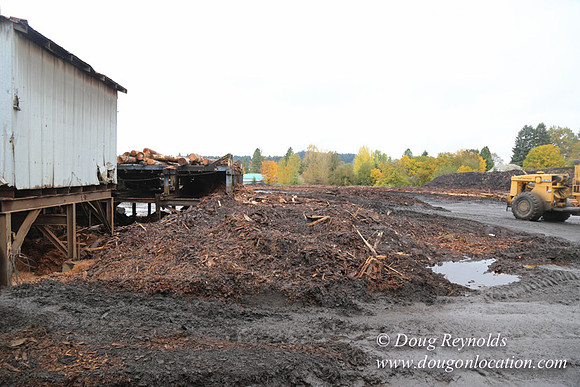 Saw Mill and Lumber Yard