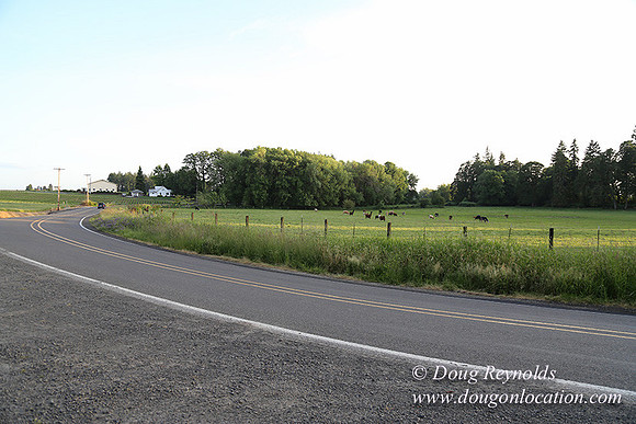 Mountaindale Rd-6409