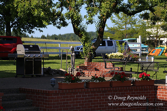 "2 Barns", "2 car garage", "40+ Acres", "PDX Zone", Pool, "White Fence", cows, "farm House", "rap around dive", "well maintained"