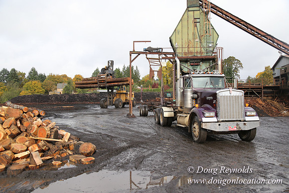 Saw Mill and Lumber Yard