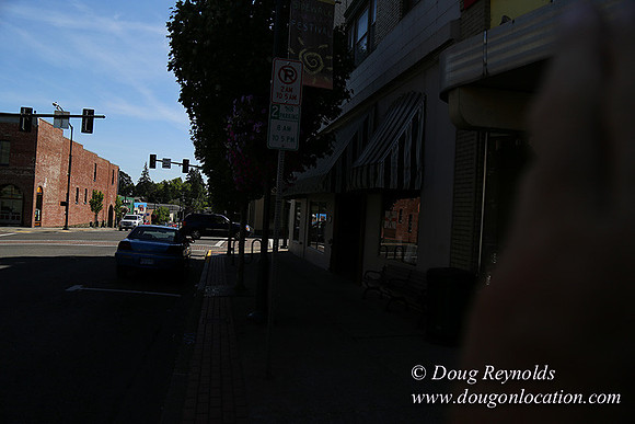 Forest Grove-0522