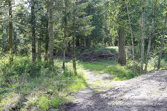 Brians River Side-9861