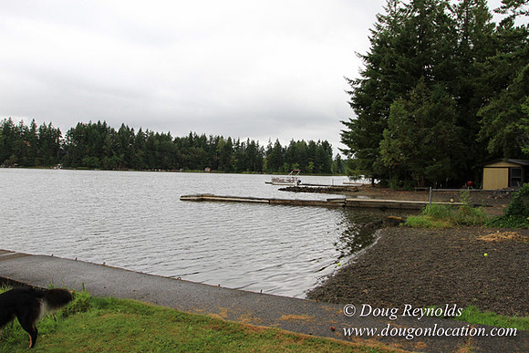Cabin, Curtis, Dock, Green, Home, Lake, Small, WA, Washington, Yard, Yard, deck
