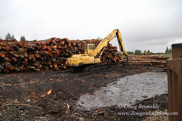 Saw Mill and Lumber Yard