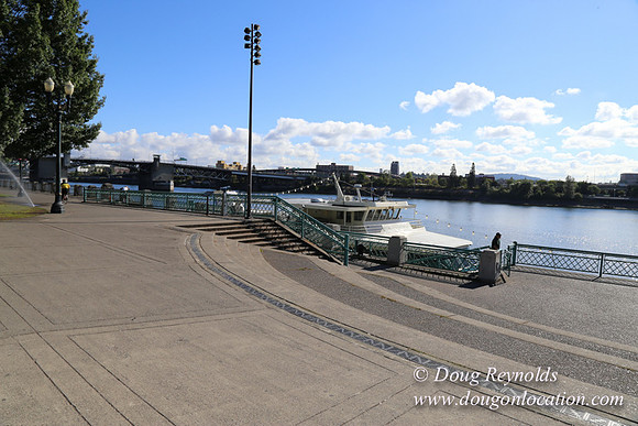 Salmon St Ftn-2729