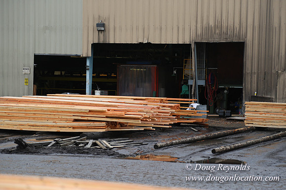 Saw Mill and Lumber Yard