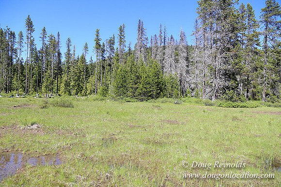 Frog Lake-3491