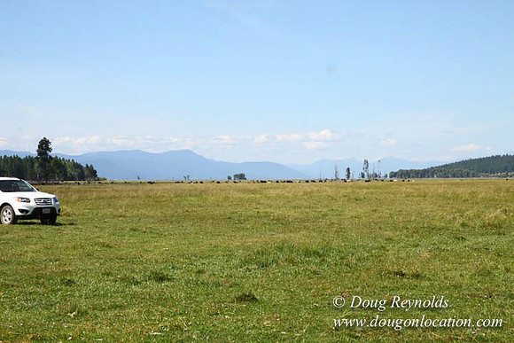 Ranch 18 South side of Hwy  has 2500 Acres of green fields Creeks water crossing Bridges on a Large Lake and miles of Dirt roads Oak trees  Forest land ATV Trails cows