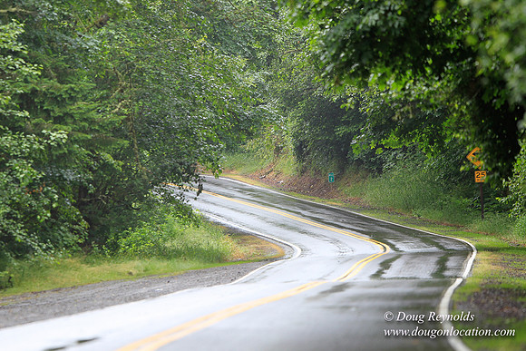 Brower Rd