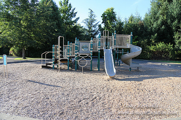 Lincoln Park-0592
