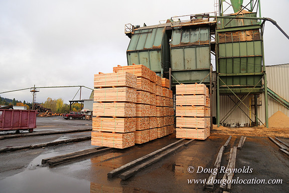 Saw Mill and Lumber Yard