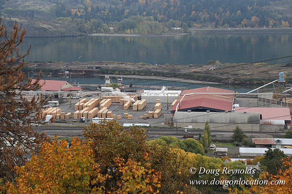 SDS Lumber-1507
