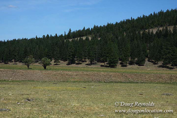 Ranch 18 South side of Hwy  has 2500 Acres of green fields Creeks water crossing Bridges on a Large Lake and miles of Dirt roads Oak trees  Forest land ATV Trails cows