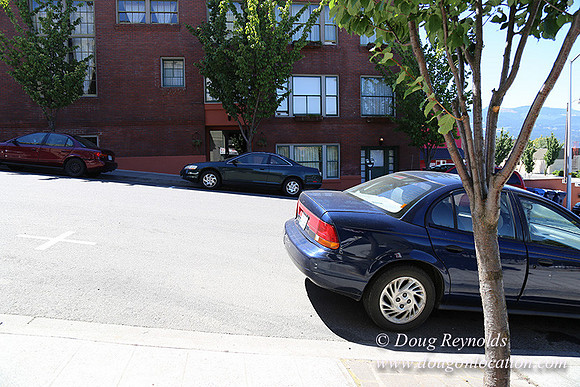 1st & Oak HdRv-8044