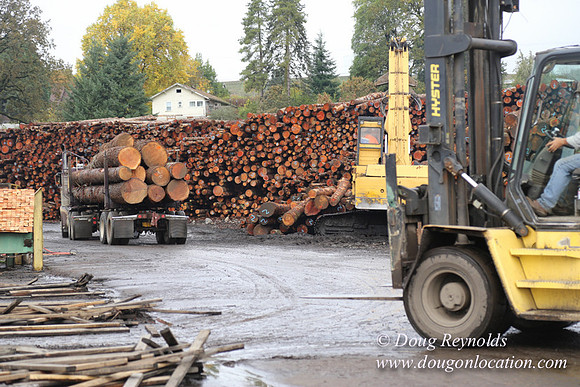 Saw Mill and Lumber Yard