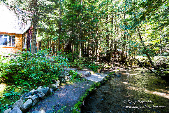 Karri's Cabin