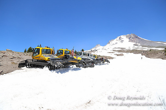 Timber Line-5342