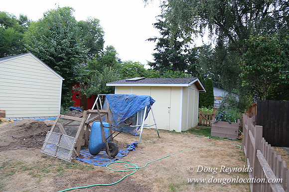 Nathan's Backyard-1750