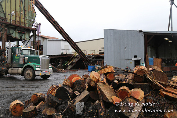 Saw Mill and Lumber Yard