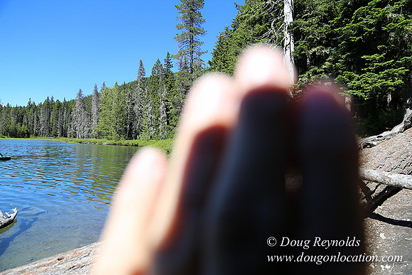 Frog Lake-3522